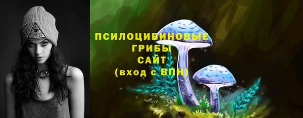гидра Ладушкин