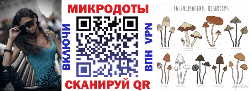 Псилоцибиновые грибы Psilocybe  Юрюзань 